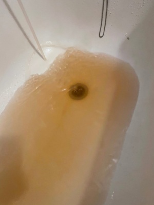 Саров Мутная вода.jpg